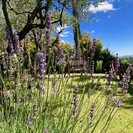 Grove Cottage: Immersed In Nature & Close To Town Città della Pieve Exterior foto