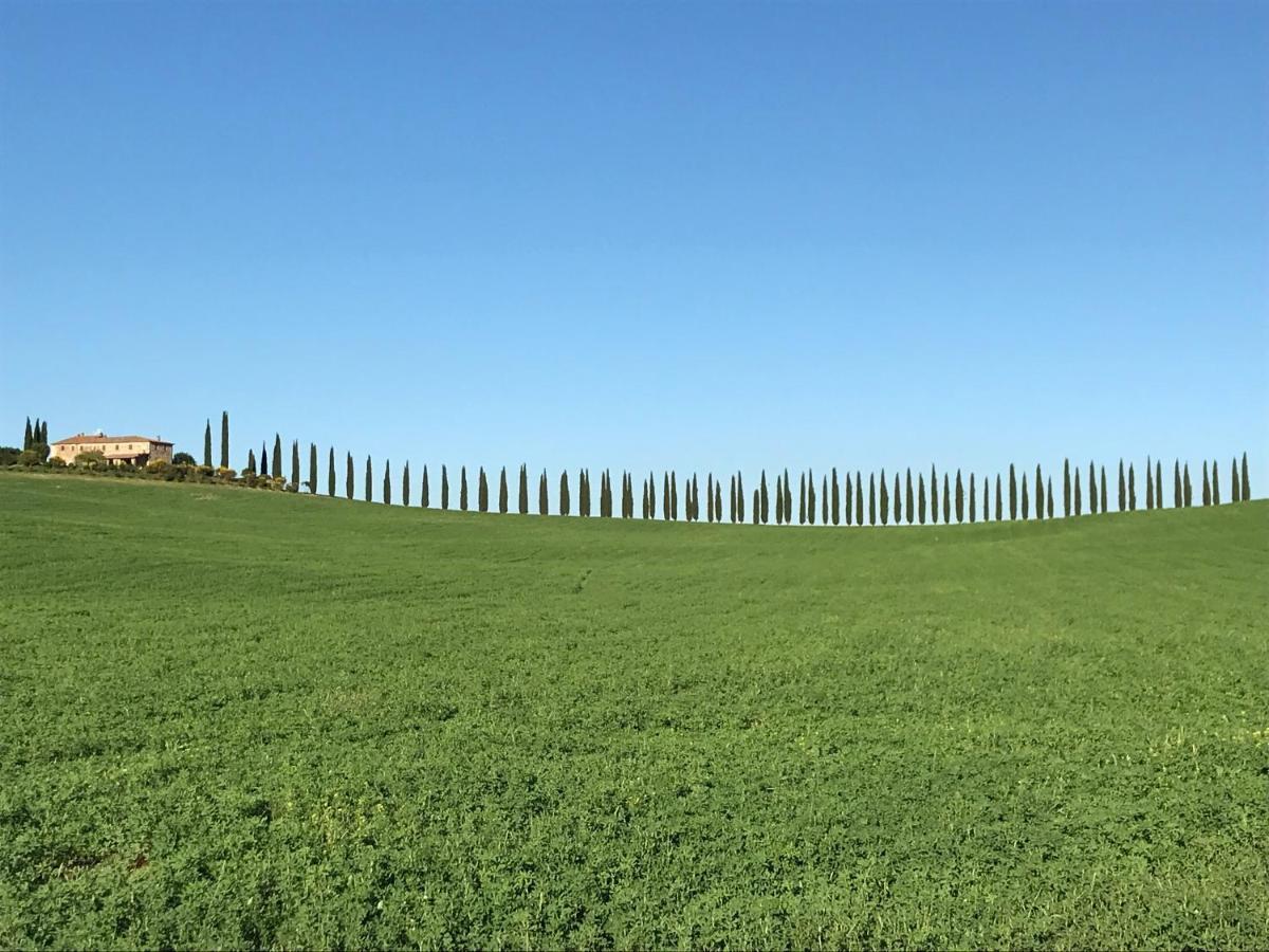 Grove Cottage: Immersed In Nature & Close To Town Città della Pieve Exterior foto