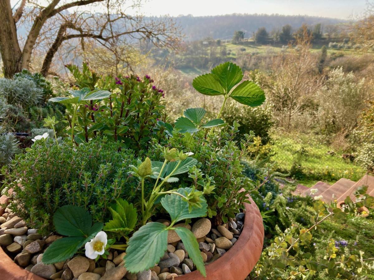 Grove Cottage: Immersed In Nature & Close To Town Città della Pieve Exterior foto