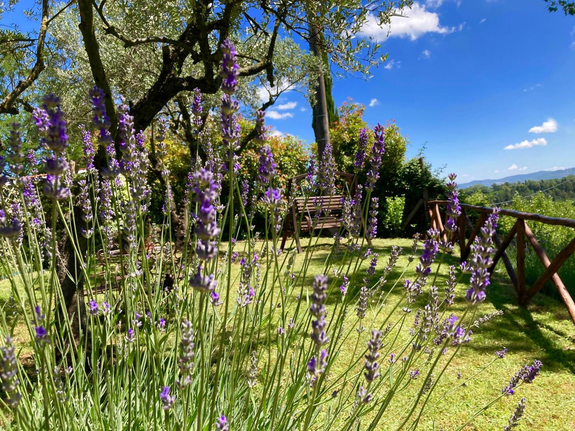 Grove Cottage: Immersed In Nature & Close To Town Città della Pieve Exterior foto